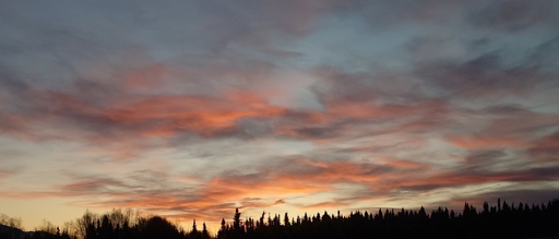 Orange and red sunrise with a forest silhouette along the bottom edge.